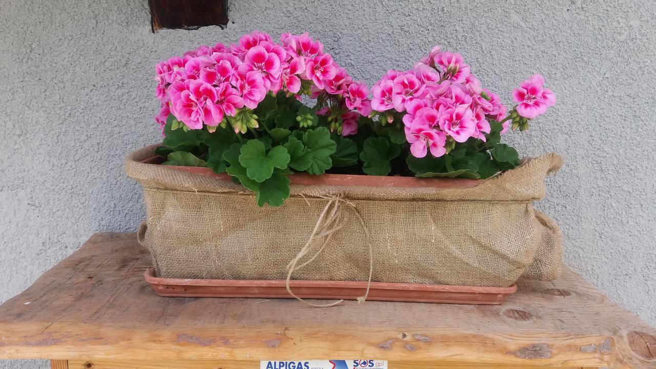 Maison Des Abeilles Vda Gressan N 0028 מראה חיצוני תמונה
